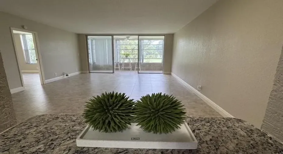 204U view from kitchen
