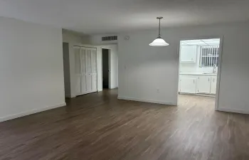 IMG_7806