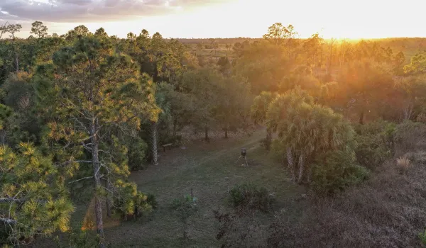 Lot 250 - Drone 2 copy