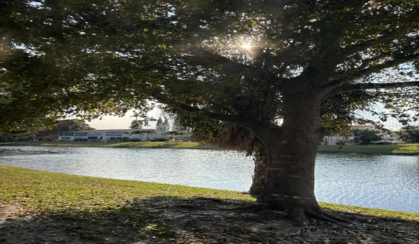 WATER VIEW