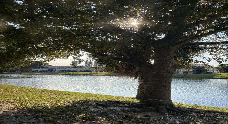 WATER VIEW