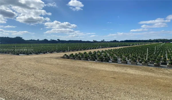 20 acre land front
