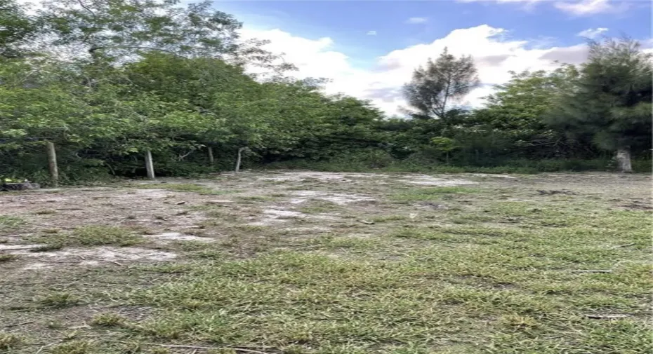 Empty lot. Perfect for that new home.
