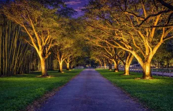 AI ENHANCED DRIVEWAY