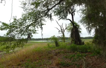 DSC04601