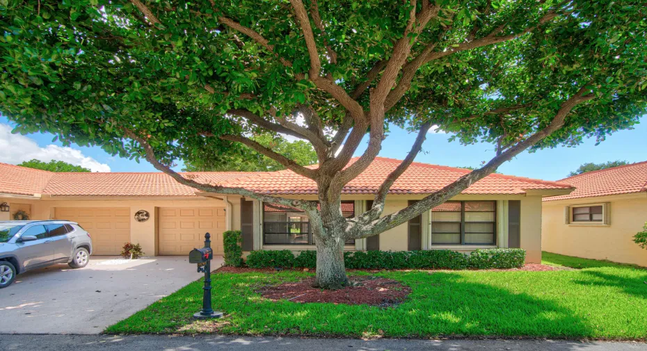 001-9830BischofiaTreeWay-BoyntonBeach-FL
