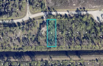 geoviewmap_1691338868677