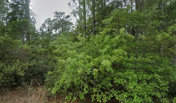 Home Sweet Home