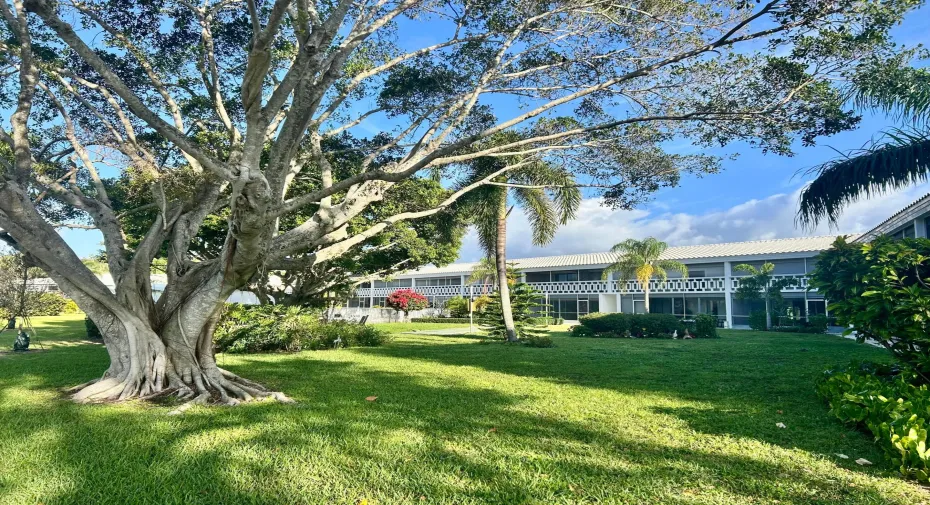 331 Tequesta dr 216