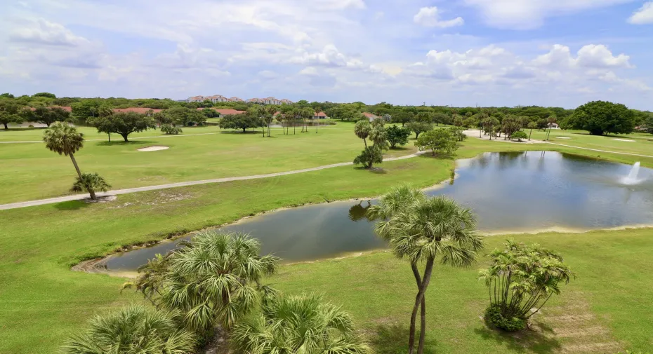 Condo View