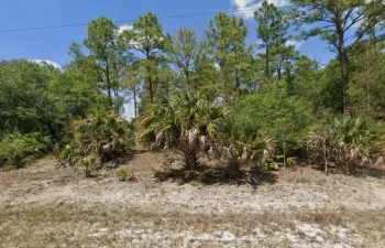 Vacant Land