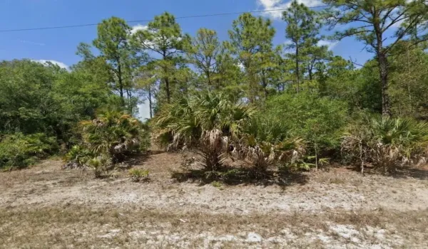 Vacant Land