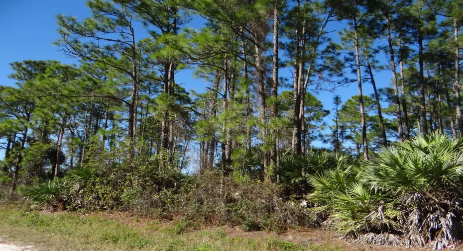 DSC08623