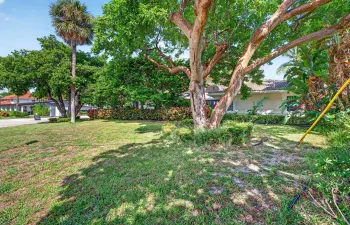 1-web-or-mls-699A8461