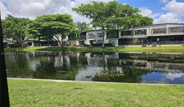 Backyard View