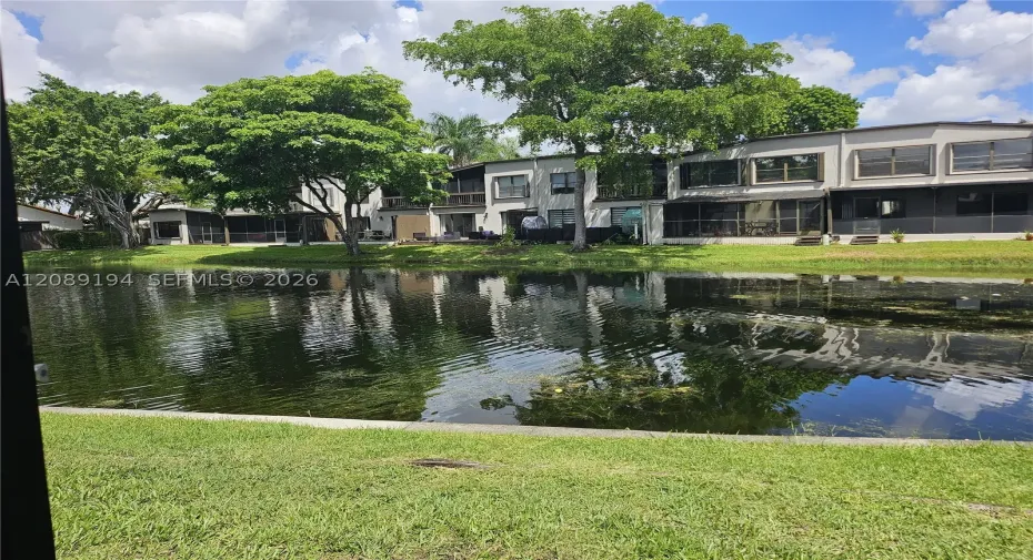 Backyard View