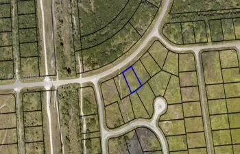 Lot 1390