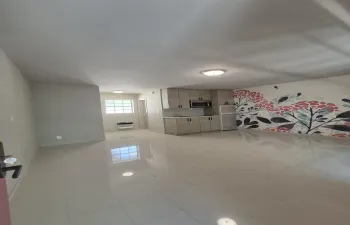 20260425_114208
