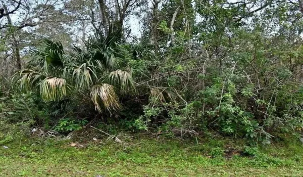 OCALA