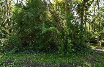 7907 SANTA CLARA