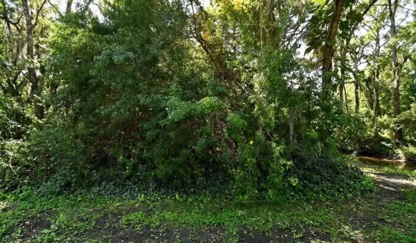 7907 SANTA CLARA