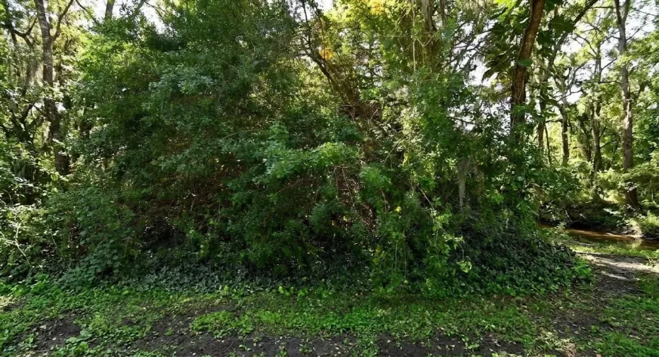 7907 SANTA CLARA