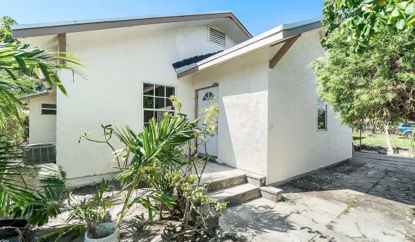 Lilac 1
