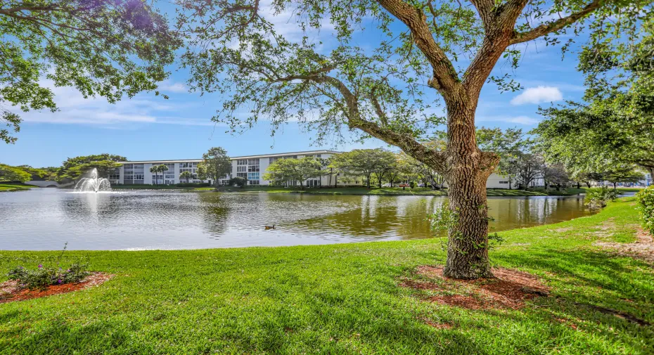 Lake/Fountain View