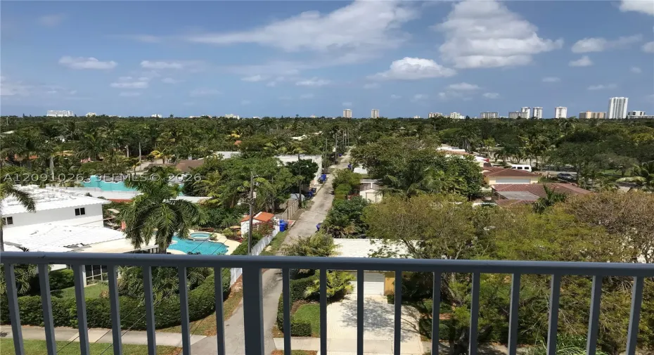 Your view