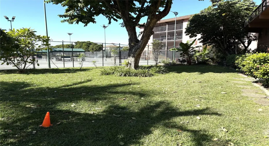 View from Patio