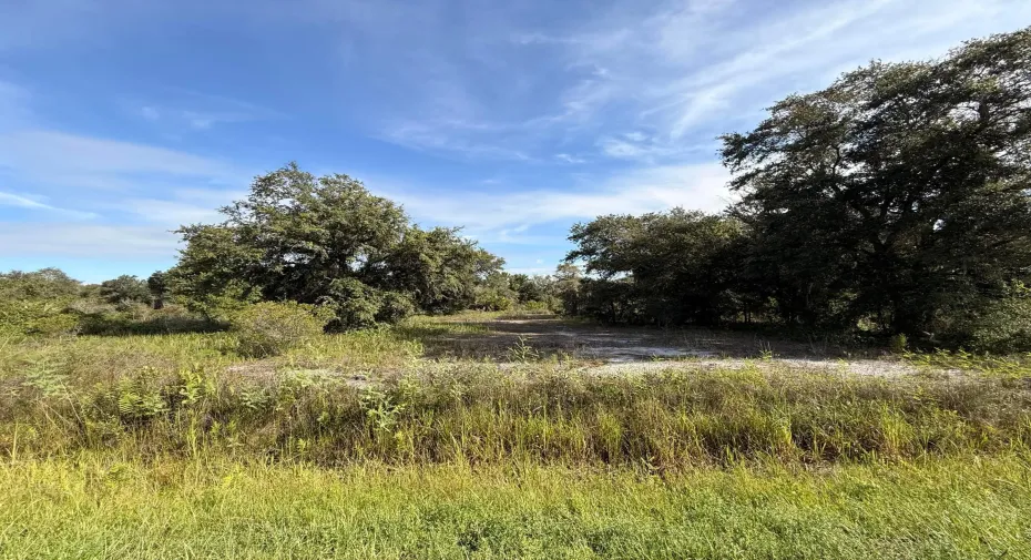 1.25-acre vacant residential lot with mature trees and open clearing.