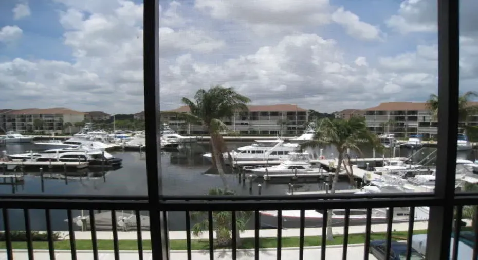 View from Balcony