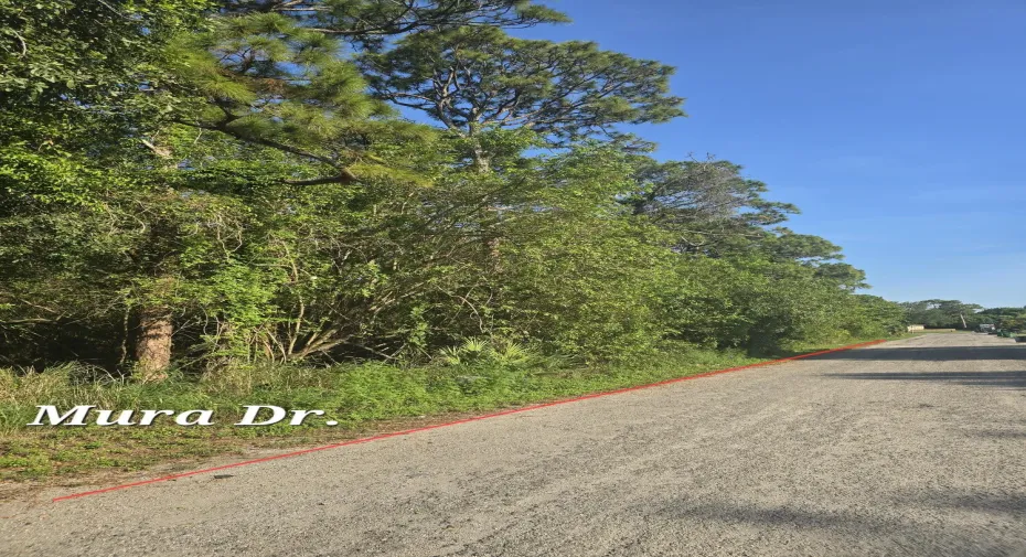 Mura Drive