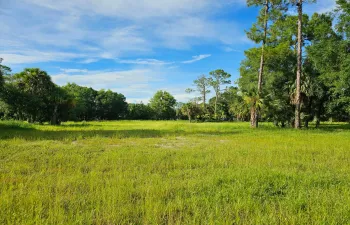 5 Acres