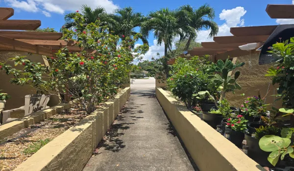 1155 WHTE PINE WALKWAY