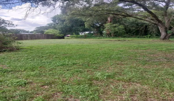 yard photo