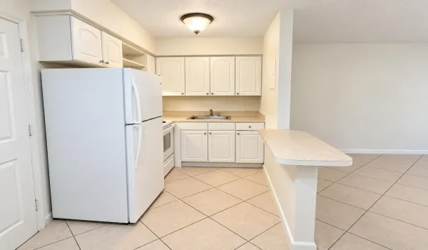 Kitchen​​‌​​​​‌​​‌‌​‌‌​​​‌‌​‌​‌​‌​​​‌​​