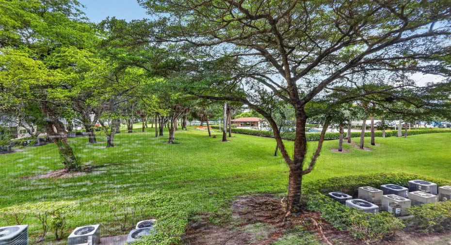 25-web-or-mls-8H3A9959