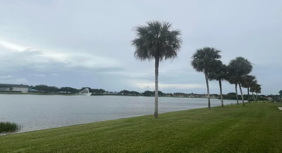 Lake View