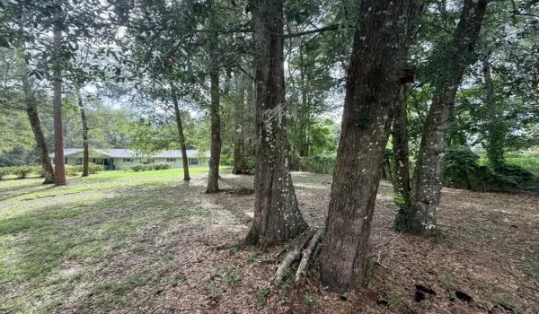 Exterior 1