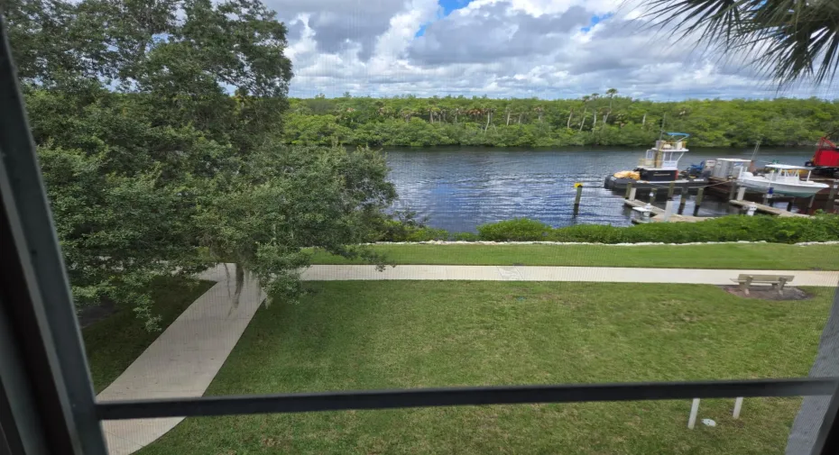 View from Balcony