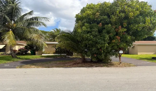 IMG_2952