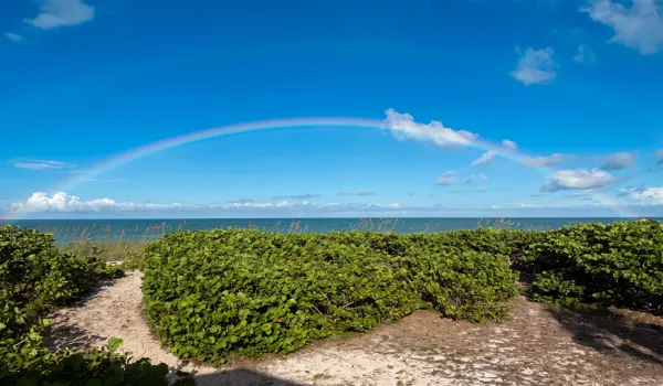 Rainbows
