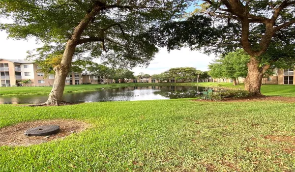 Back yard view