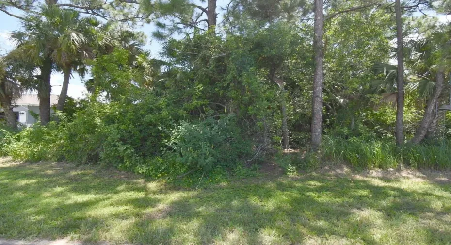 2449 ALTARA LOT VIEW