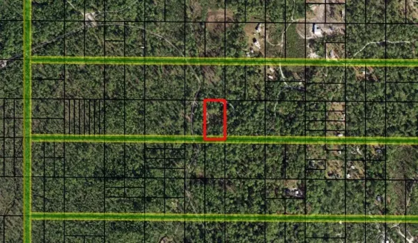 zoomin