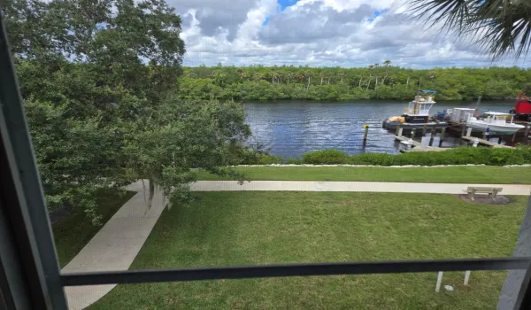 View from Balcony