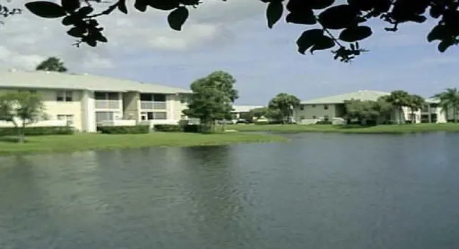 Pond