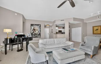 Massive Living Area