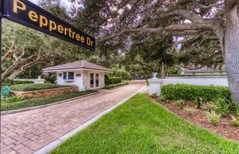 151_S_Peppertree_Dr-1